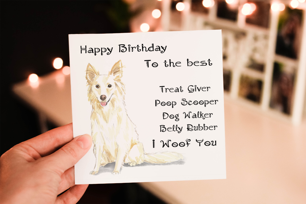 Collie White Dog Birthday Card, Dog Birthday Card